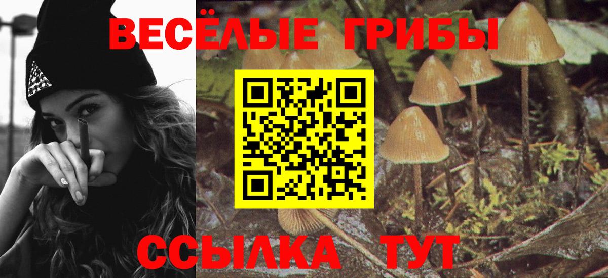 Псилоцибиновые грибы прущие грибы Нефтеюганск